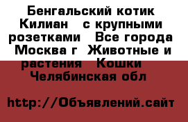 Бенгальский котик Килиан , с крупными розетками - Все города, Москва г. Животные и растения » Кошки   . Челябинская обл.